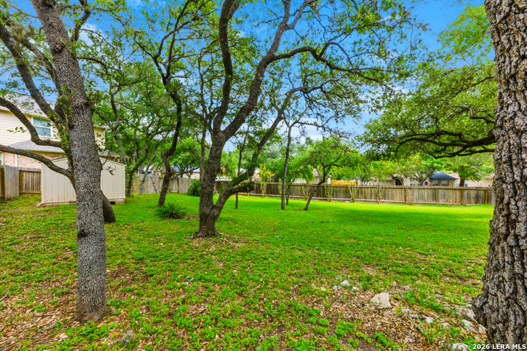 2460 James Agee Schertz TX 78154