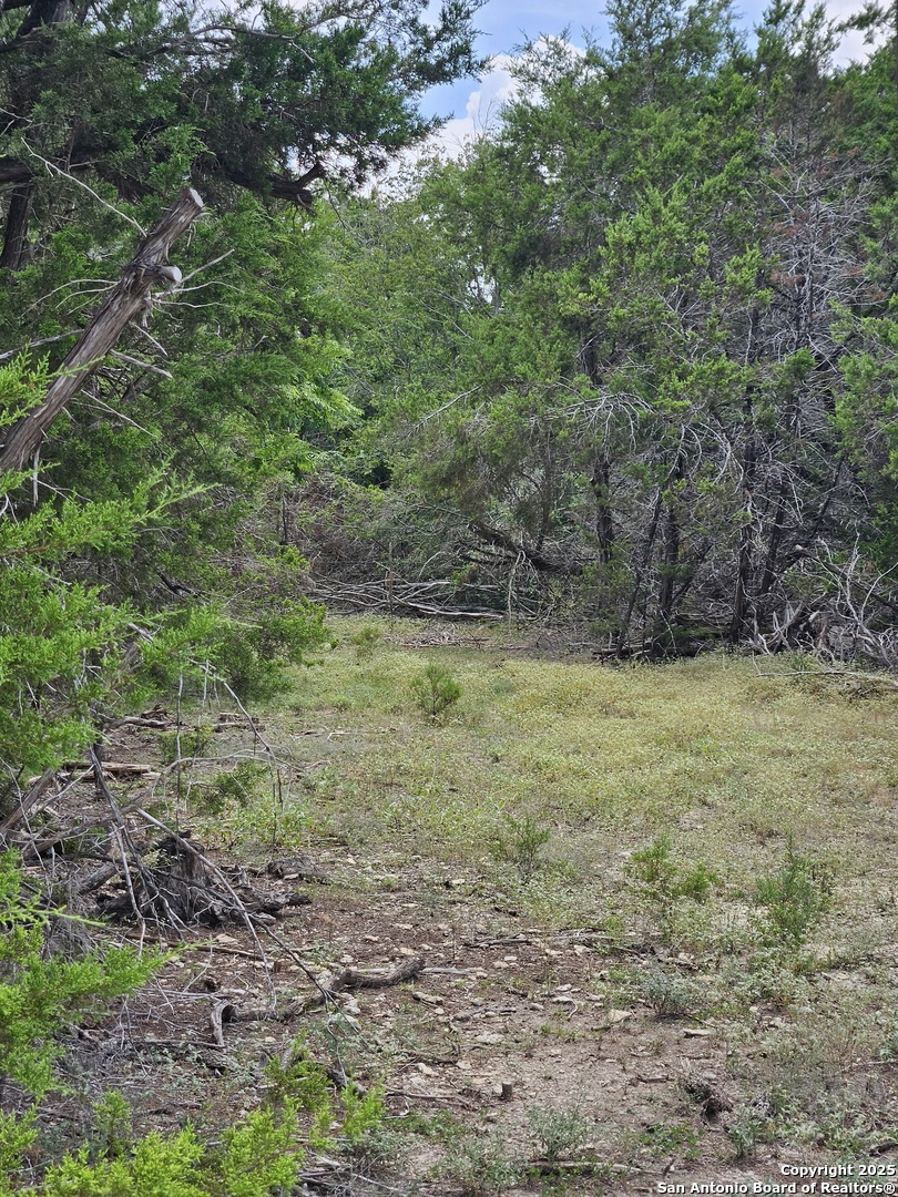 21 Wasp Creek Road Boerne TX 78006