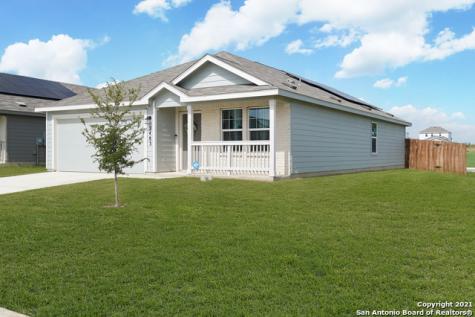 2483 Pechora Pipit New Braunfels TX 78130