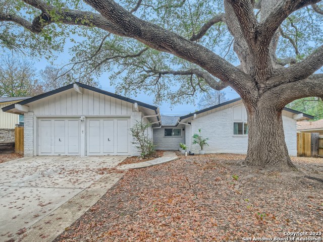 3019 Sir Phillip Drive San Antonio TX 78209