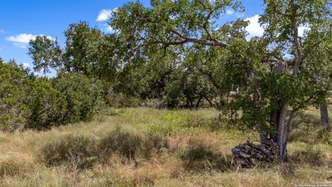 1746 Paradise Parkway Canyon Lake TX 78133