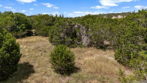 1746 Paradise Parkway Canyon Lake TX 78133