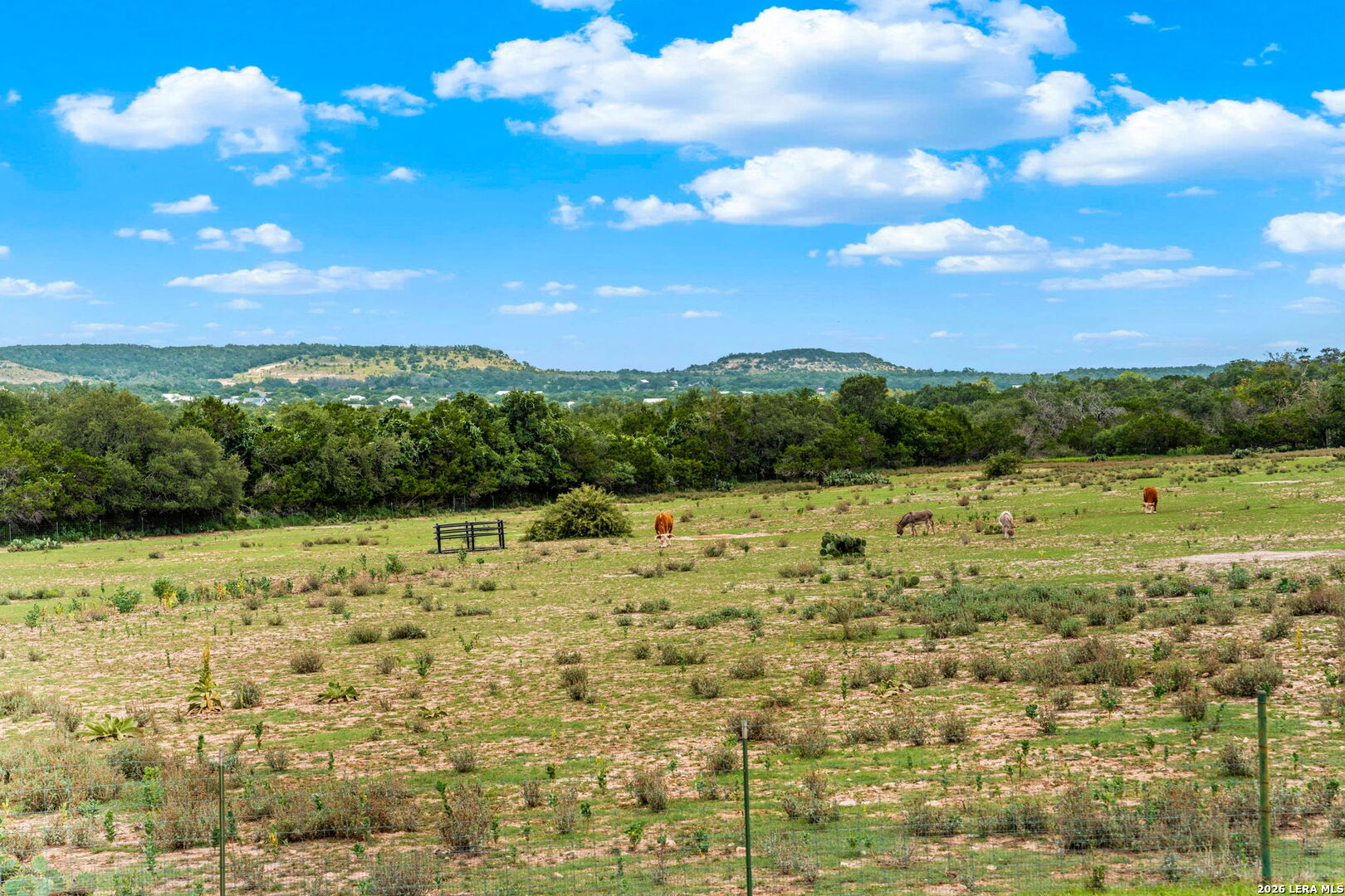 834 Northwood Hills Drive Fredericksburg TX 78624