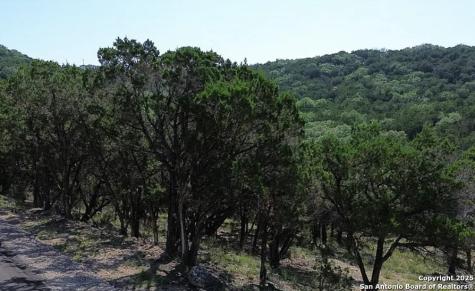 1428 Rockmoor Canyon Lake TX 78133