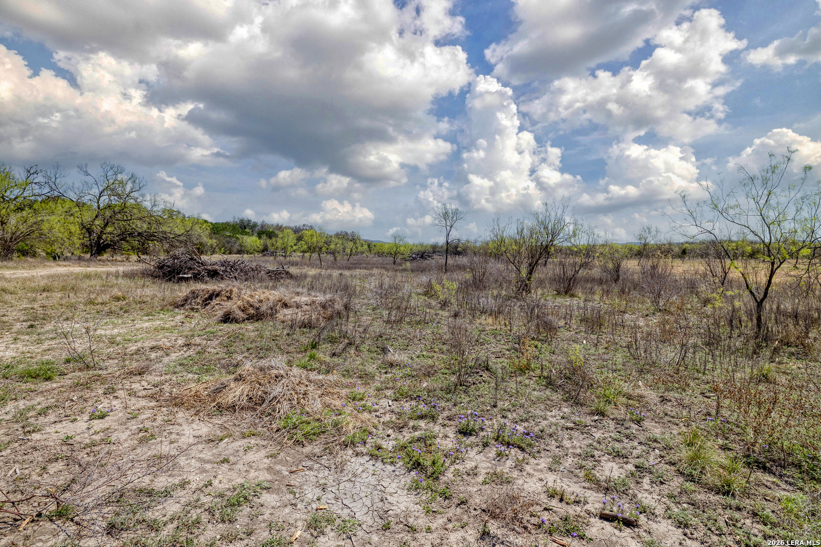 164 Whitetail Way Rio Frio TX 78879