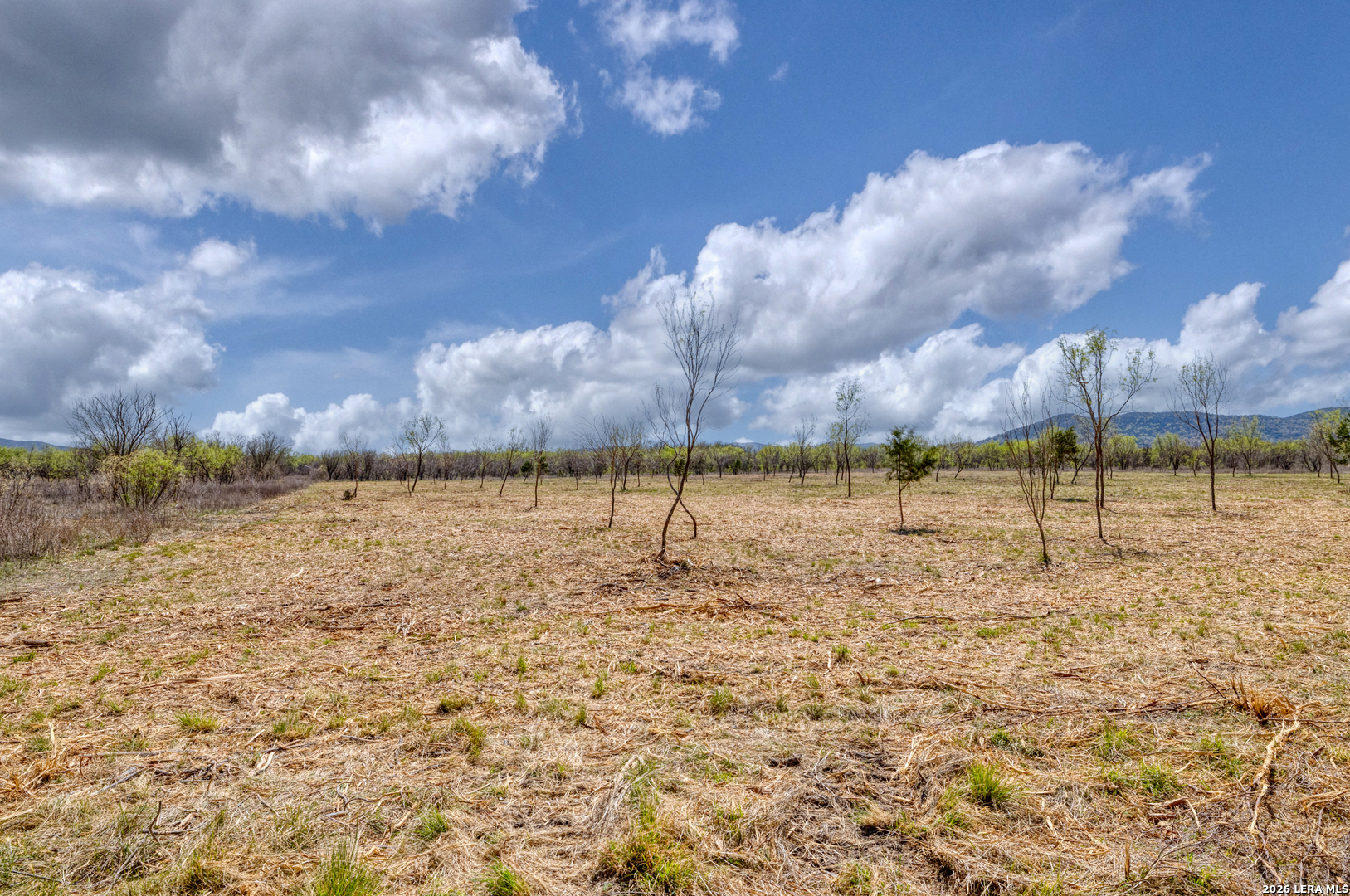 164 Whitetail Way Rio Frio TX 78879