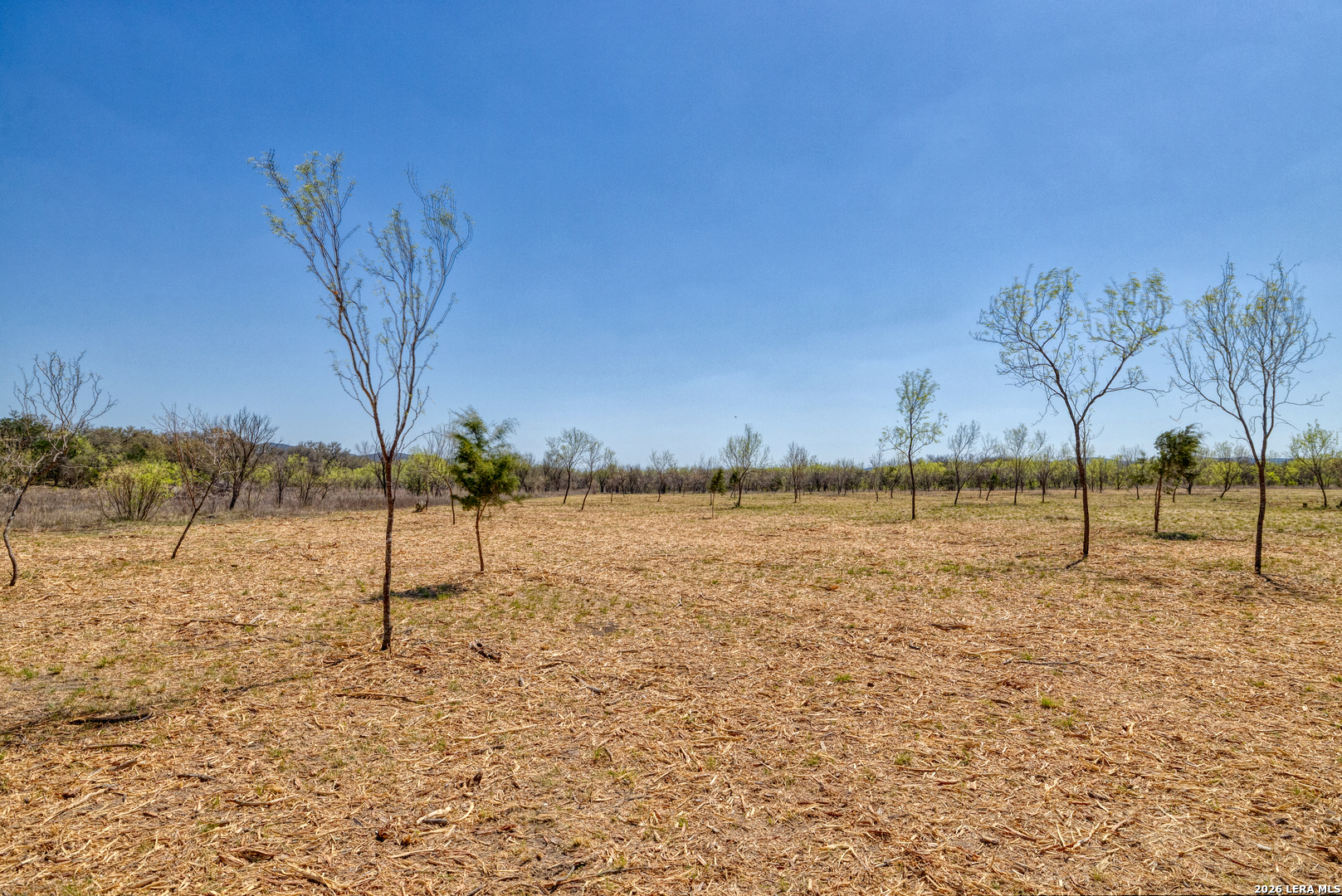164 Whitetail Way Rio Frio TX 78879