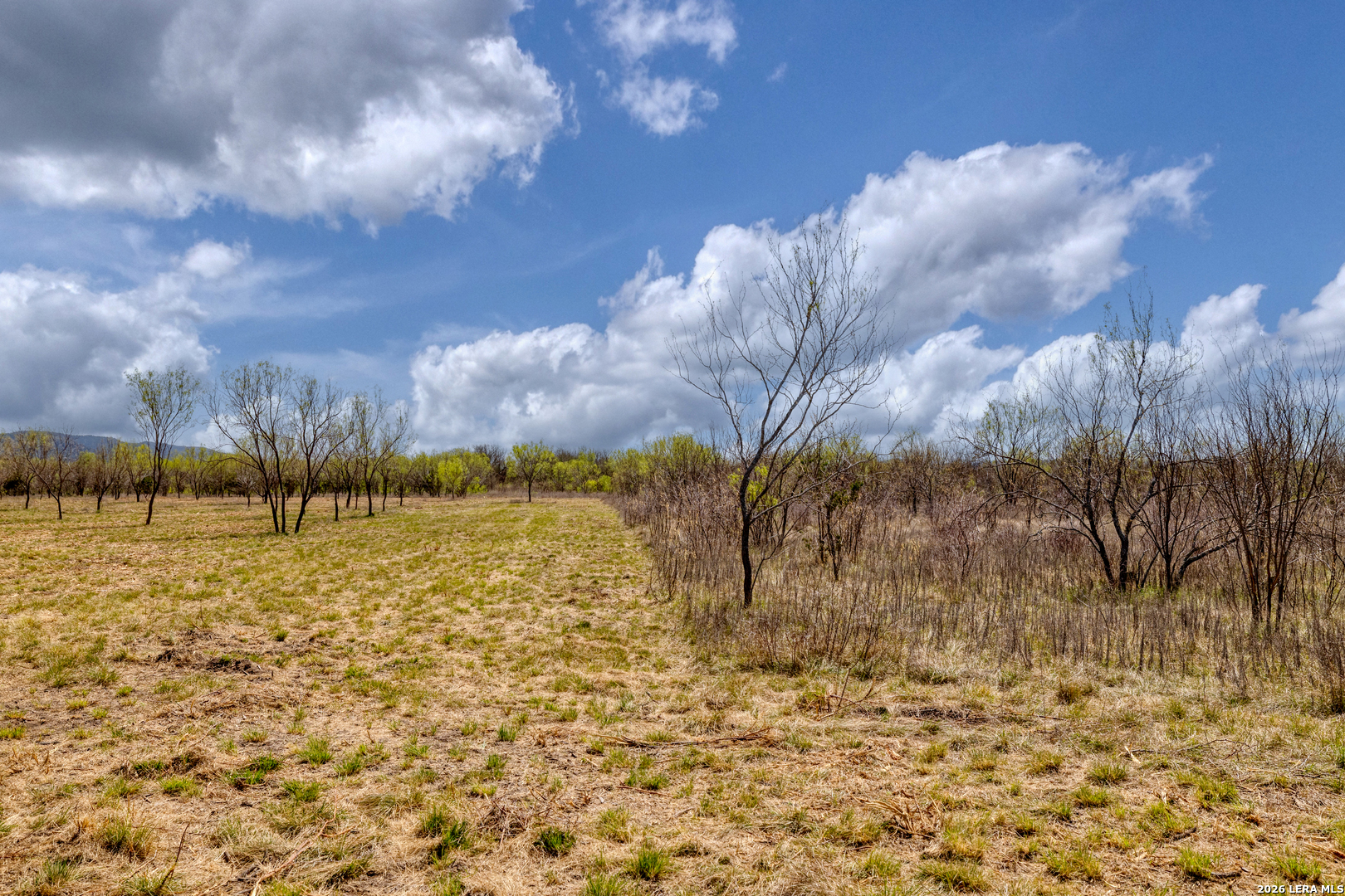 164 Whitetail Way Rio Frio TX 78879