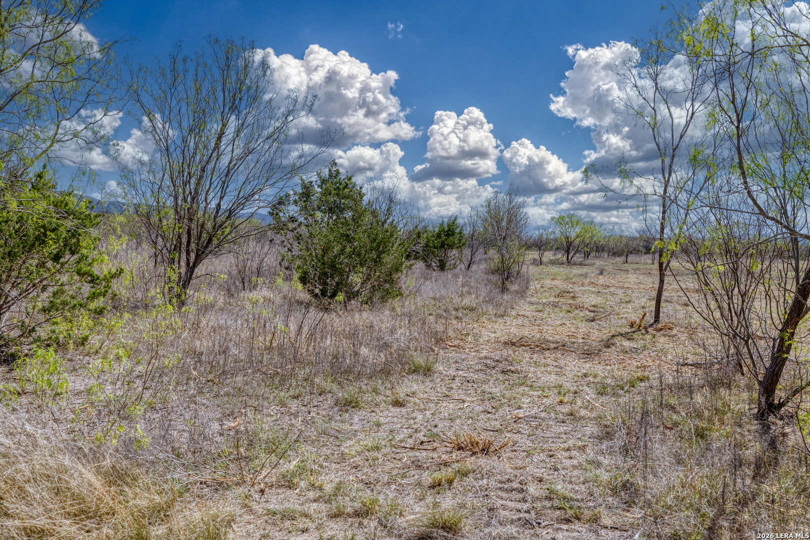 164 Whitetail Way Rio Frio TX 78879
