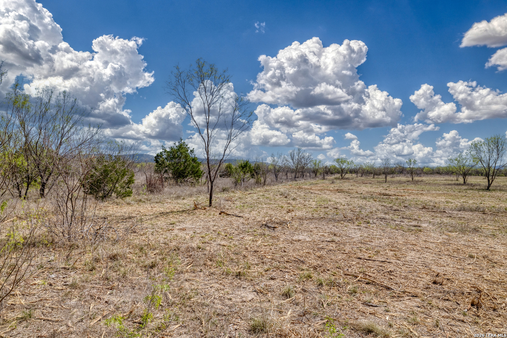 164 Whitetail Way Rio Frio TX 78879