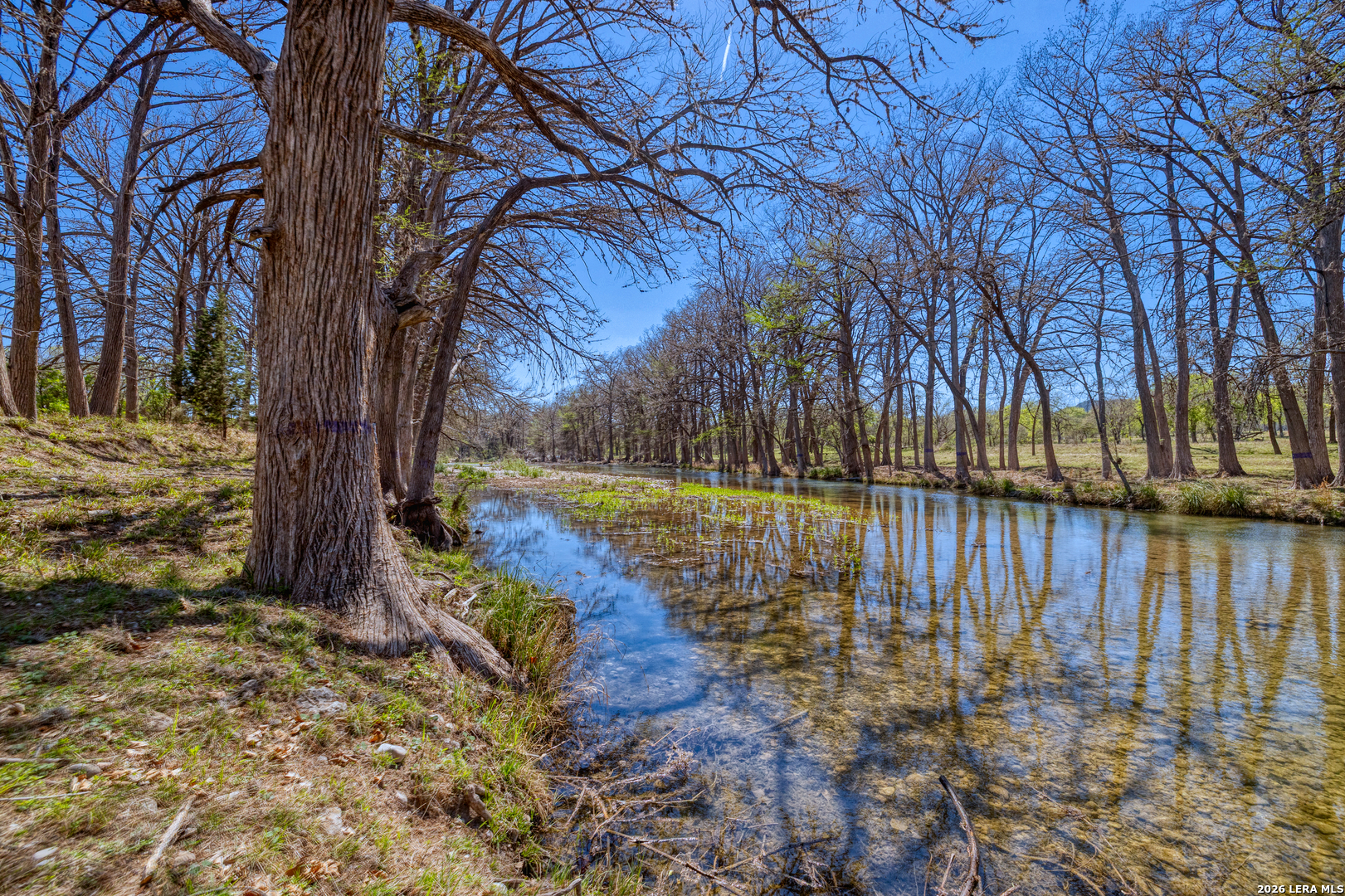 164 Whitetail Way Rio Frio TX 78879