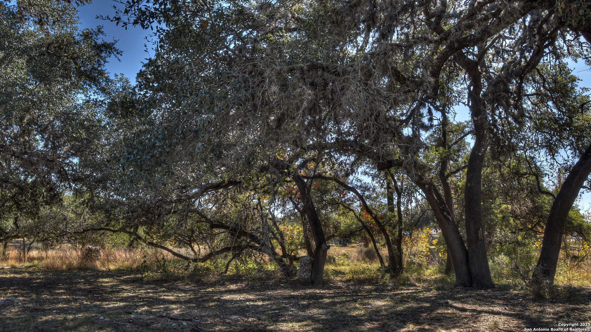 218 Trickling Creek Road Leakey TX 78873