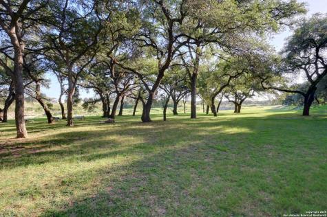 325 River Ridge Spring Branch TX 78070