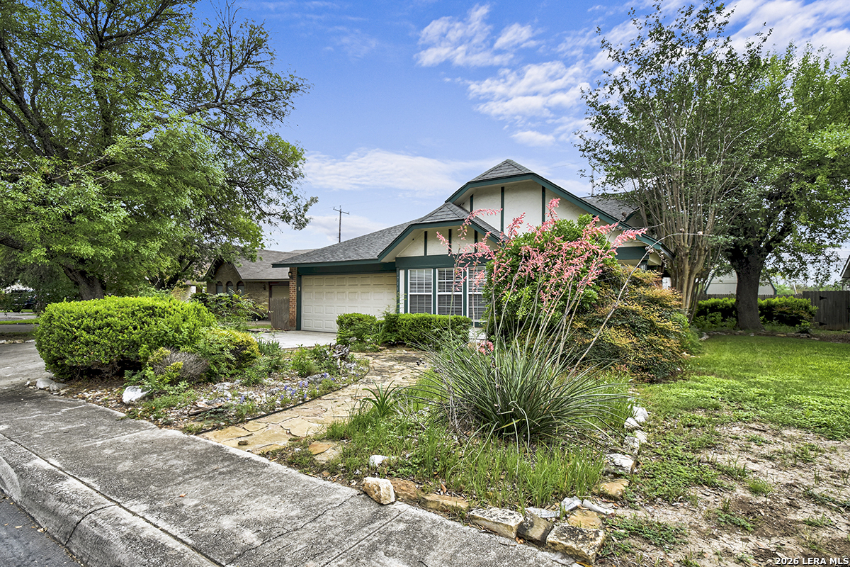 17111 Ivy Green San Antonio TX 78247