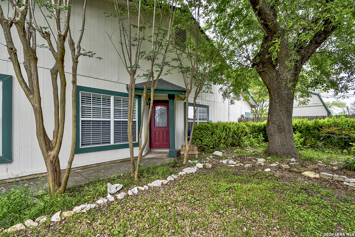 17111 Ivy Green San Antonio TX 78247