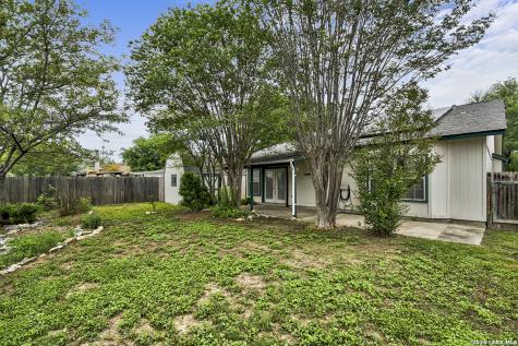 17111 Ivy Green San Antonio TX 78247