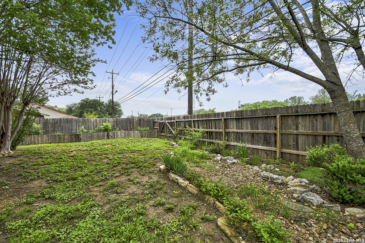 17111 Ivy Green San Antonio TX 78247