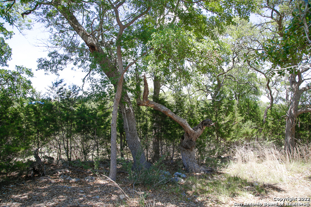 2366 Appellation New Braunfels TX 78132