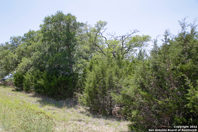 2366 Appellation New Braunfels TX 78132
