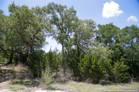 2366 Appellation New Braunfels TX 78132