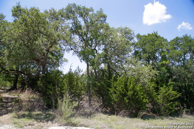 2366 Appellation New Braunfels TX 78132
