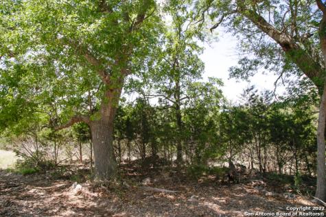 2366 Appellation New Braunfels TX 78132