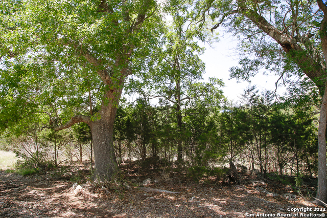 2366 Appellation New Braunfels TX 78132