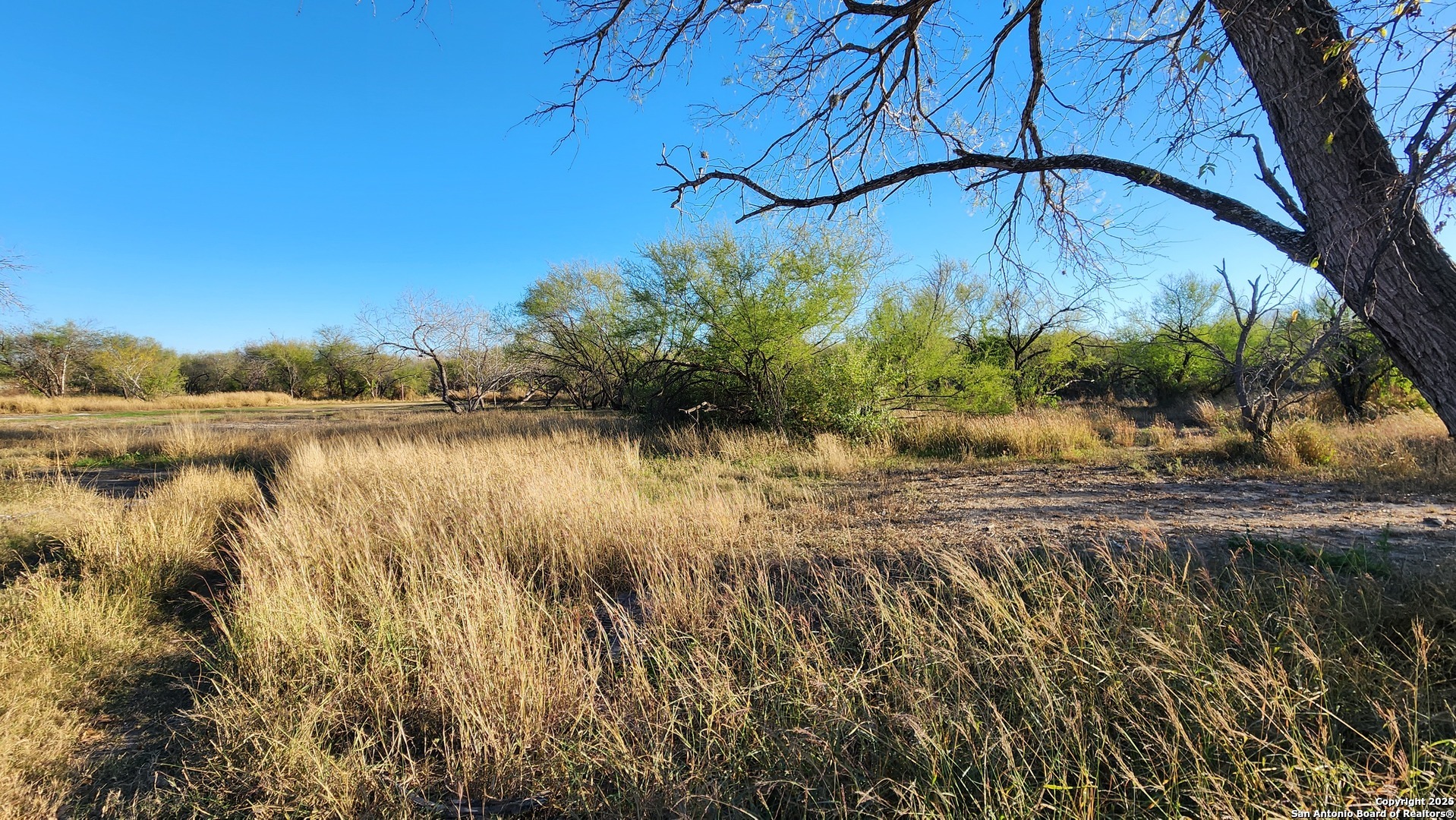 502 E E Ansley Boulevard San Antonio TX 78221