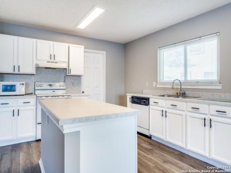 12127 Branding Point Helotes TX 78023