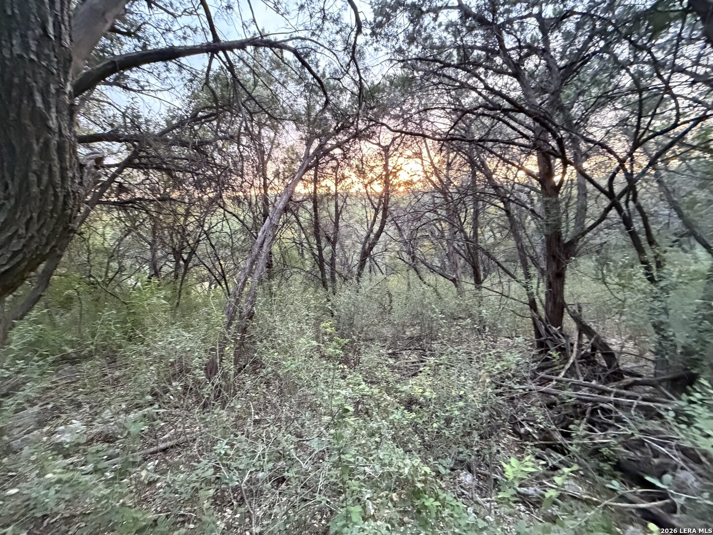 4630 Manitou Bay San Antonio TX 78259