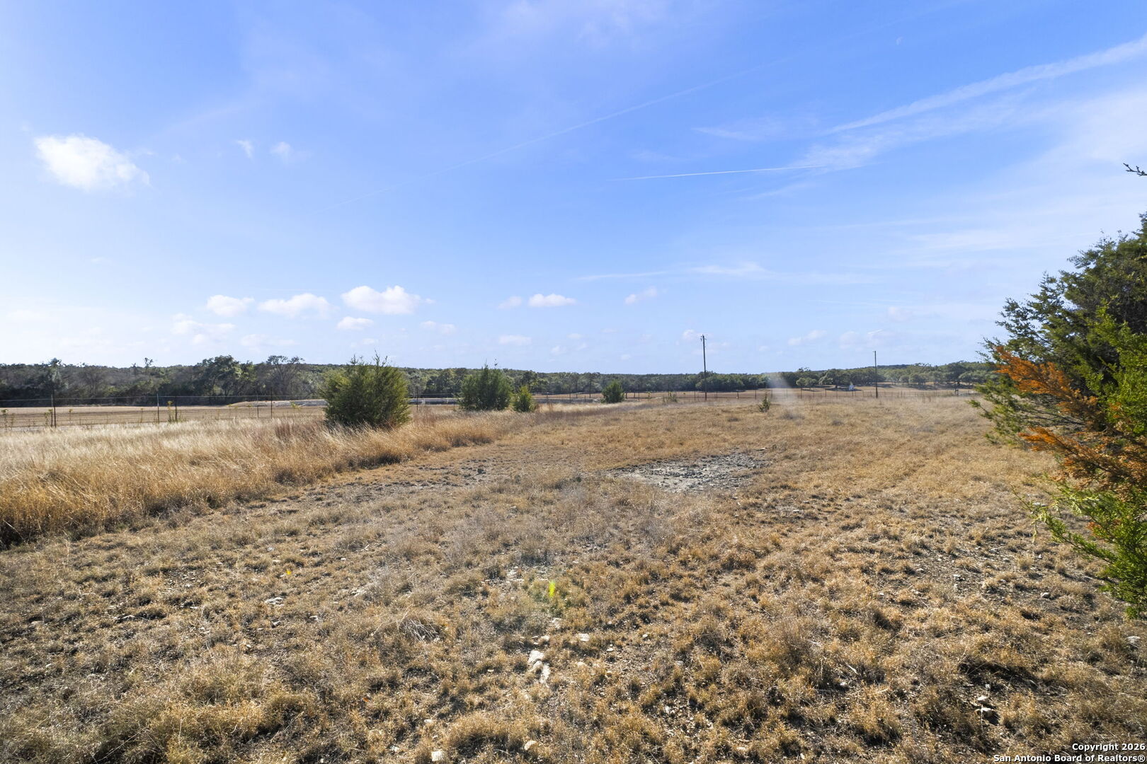 418 George Dolson Blanco TX 78606
