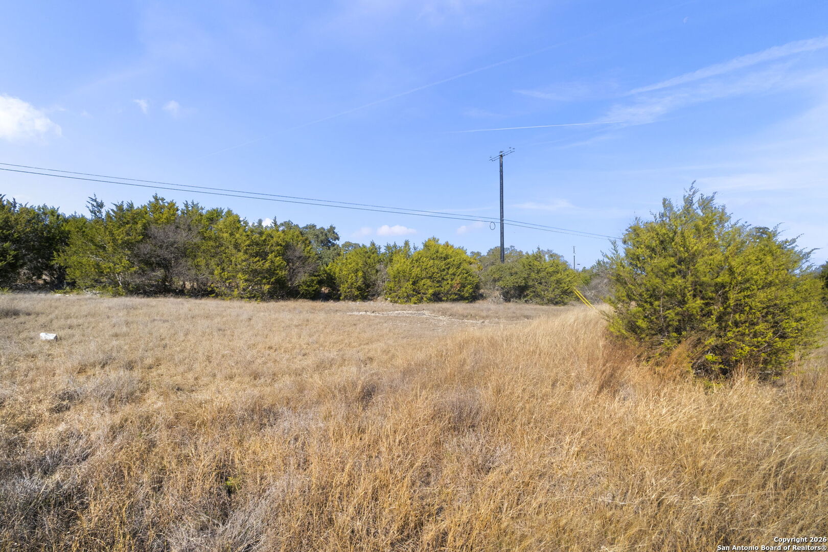 418 George Dolson Blanco TX 78606