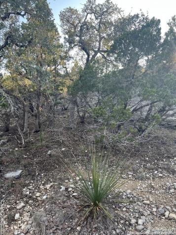 Lot 3 Forest Breeze Drive Lakehills TX 78063