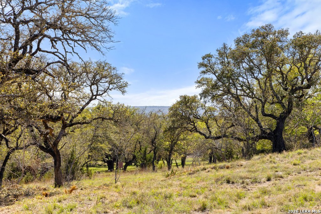 19 Stone Ridge Mountain Drive Round Mountain TX 78663