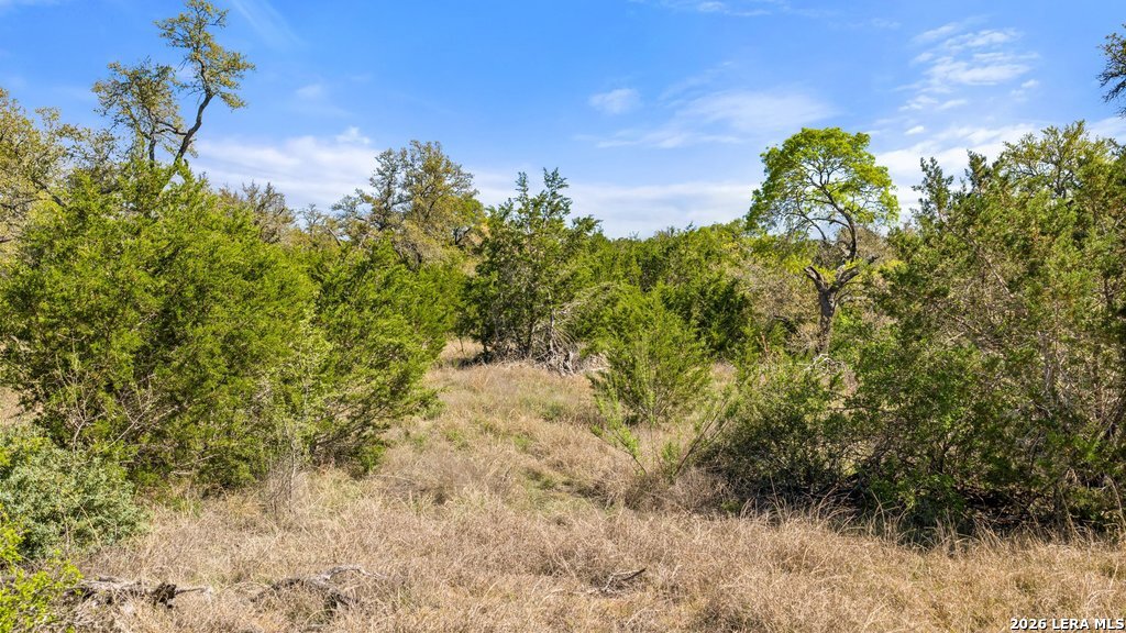 19 Stone Ridge Mountain Drive Round Mountain TX 78663