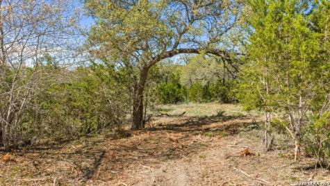19 Stone Ridge Mountain Drive Round Mountain TX 78663