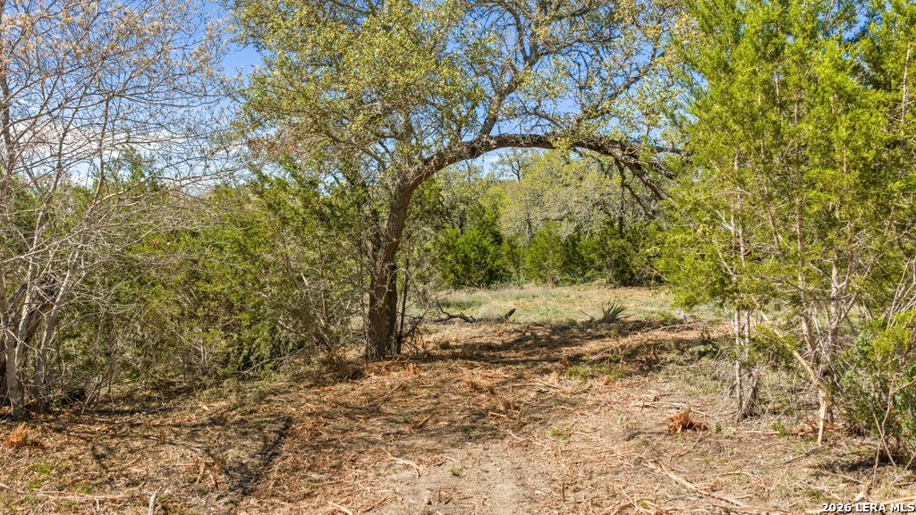 19 Stone Ridge Mountain Drive Round Mountain TX 78663