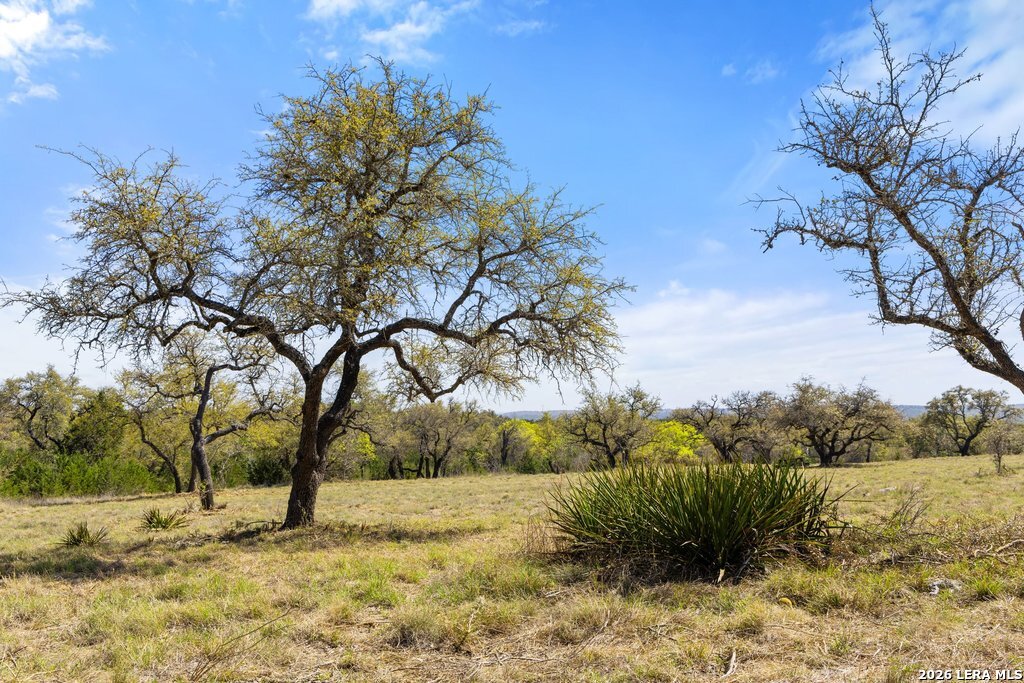 19 Stone Ridge Mountain Drive Round Mountain TX 78663