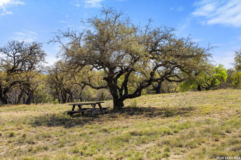 19 Stone Ridge Mountain Drive Round Mountain TX 78663