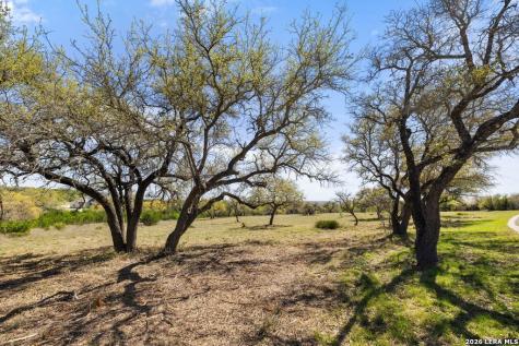 19 Stone Ridge Mountain Drive Round Mountain TX 78663