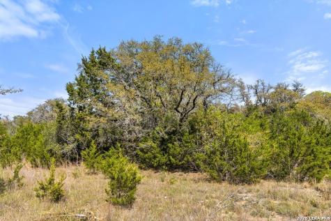19 Stone Ridge Mountain Drive Round Mountain TX 78663