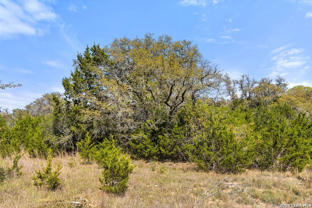 19 Stone Ridge Mountain Drive Round Mountain TX 78663