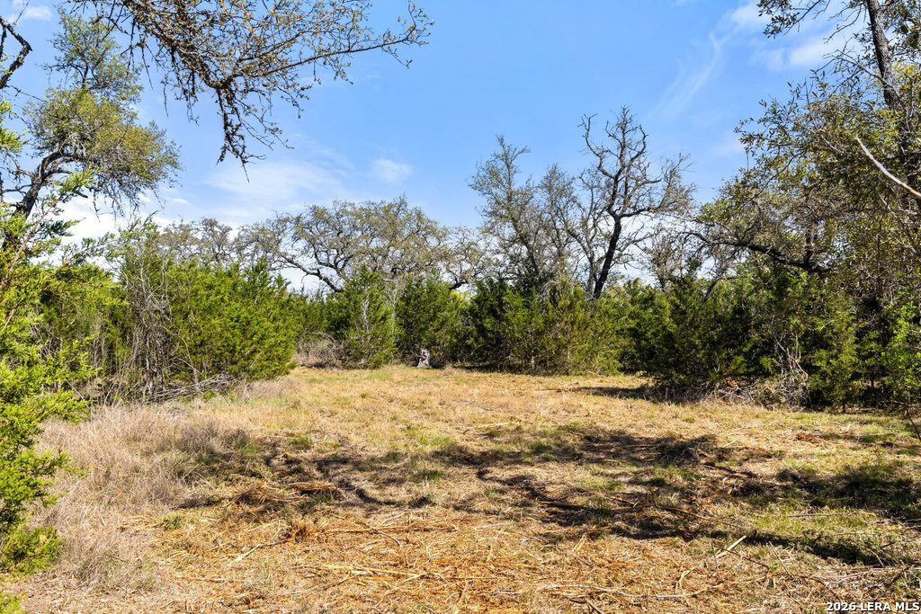19 Stone Ridge Mountain Drive Round Mountain TX 78663