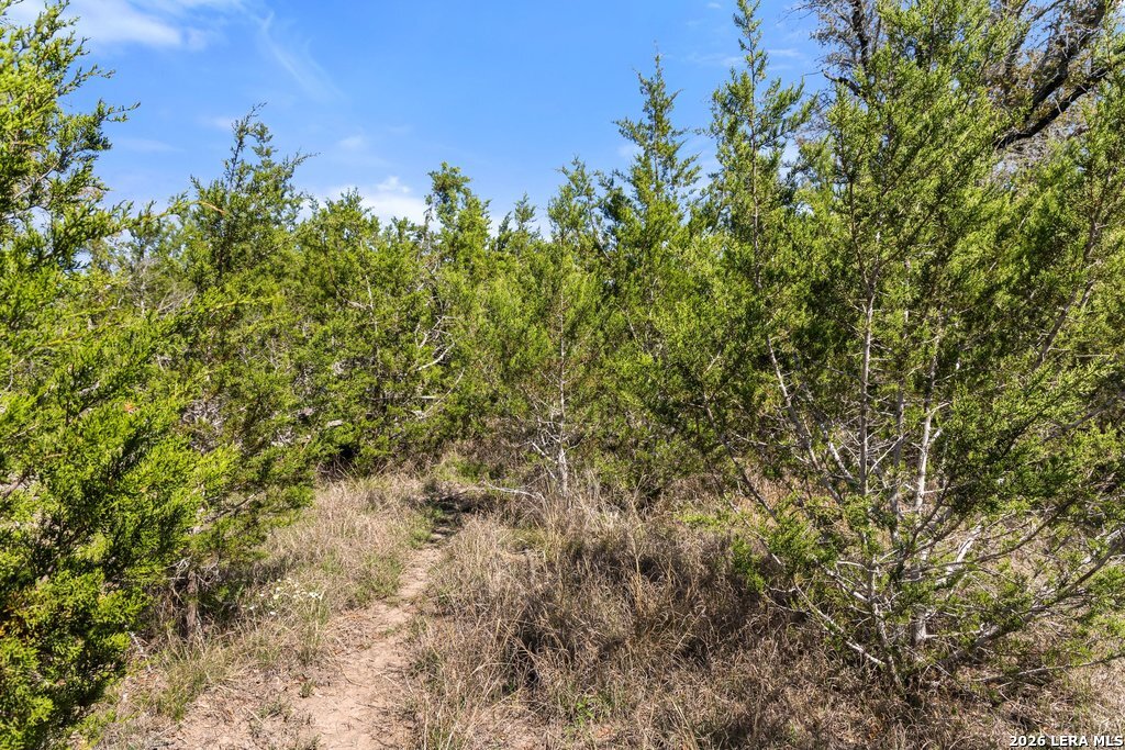 19 Stone Ridge Mountain Drive Round Mountain TX 78663