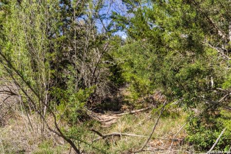 19 Stone Ridge Mountain Drive Round Mountain TX 78663