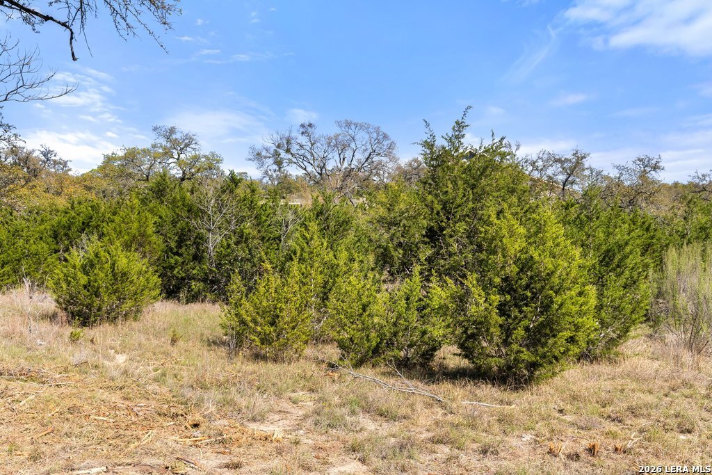 19 Stone Ridge Mountain Drive Round Mountain TX 78663