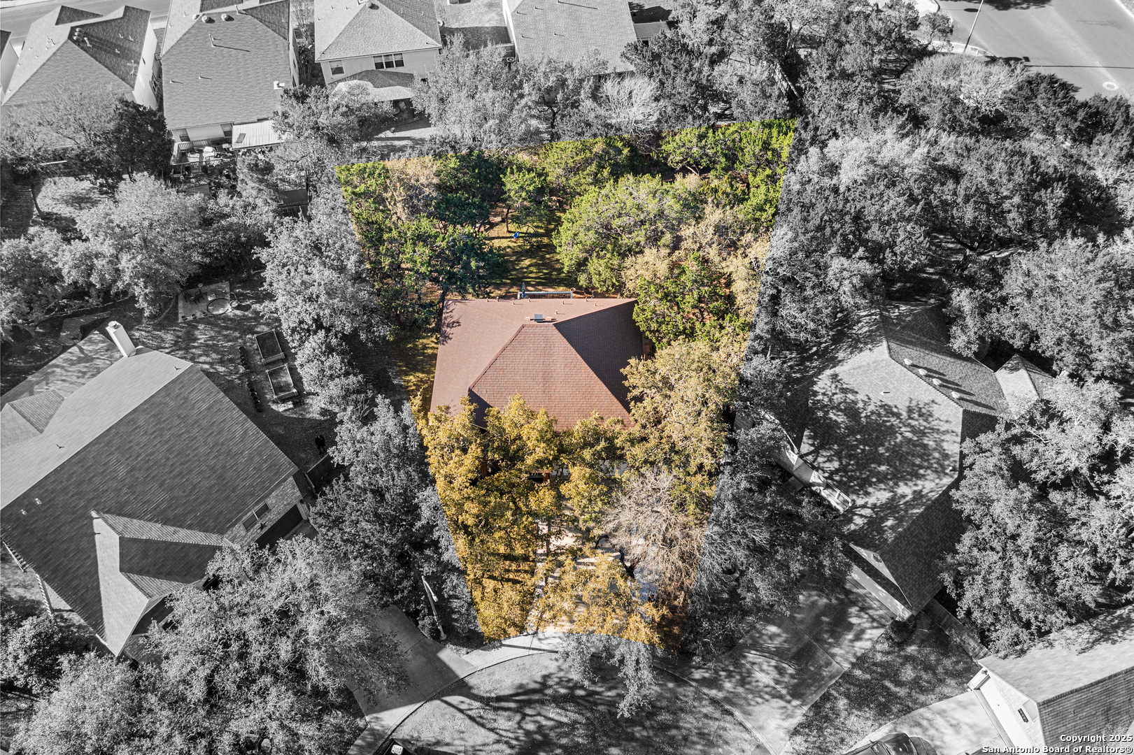 10902 Bristle Oak San Antonio TX 78249