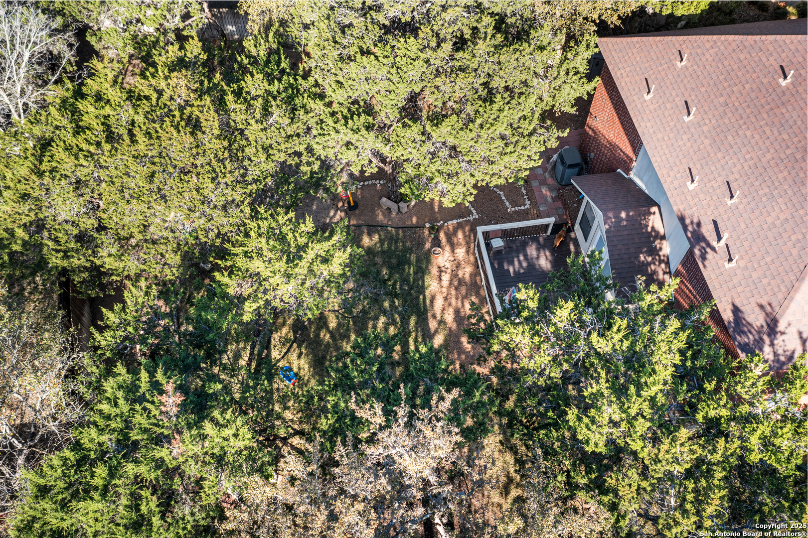 10902 Bristle Oak San Antonio TX 78249