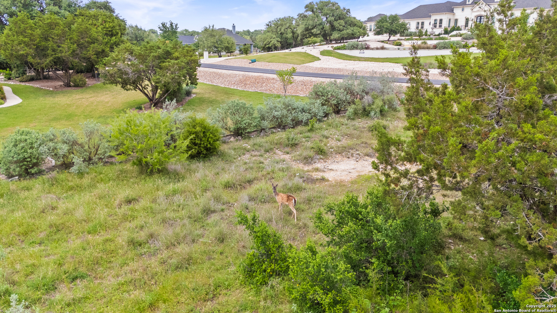 2542 Black Bear Drive New Braunfels TX 78132