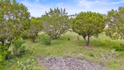 2542 Black Bear Drive New Braunfels TX 78132